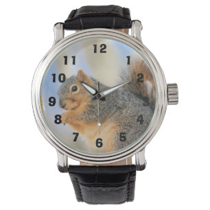 Montre Furball d'aujourd'hui