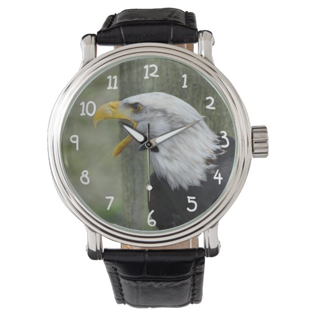 Montre Fury Bald Eagle (devant)