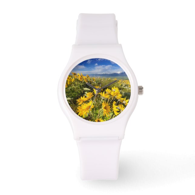 Montre Gamme nationale de bison (Recto)
