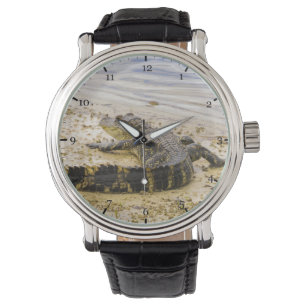 Montre Géateur de Floride
