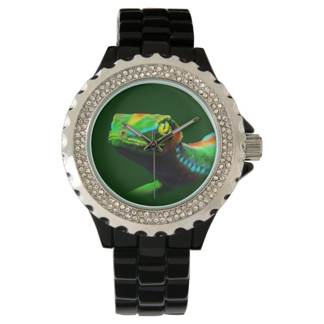 Montre Gecko Lizard Rainbow Coloris Watch (devant)