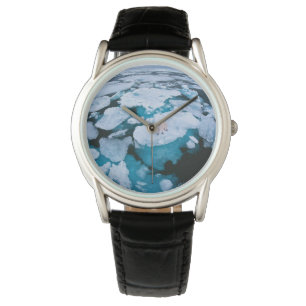 Montre Glace et neige Ours polaire, Océan Arctique, Sva
