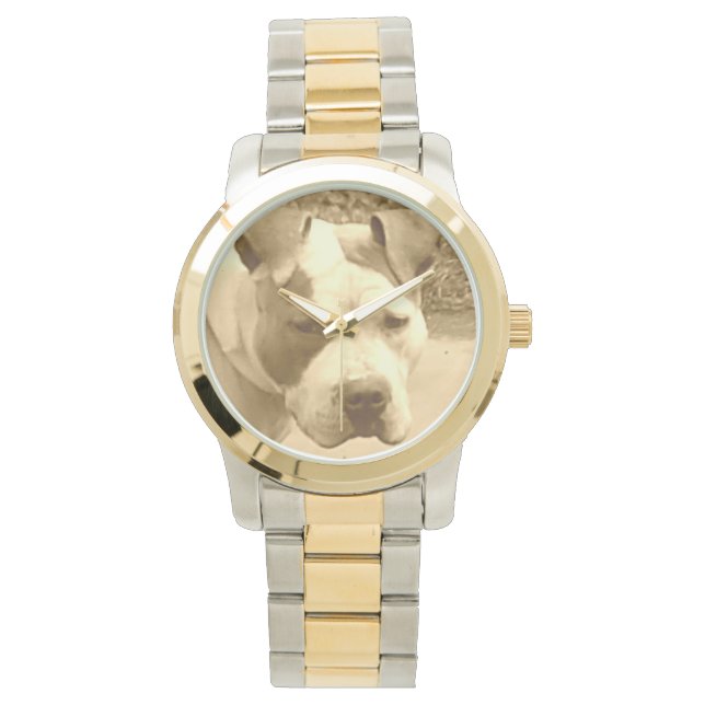 Montre Gold Pit Bull Watch (devant)