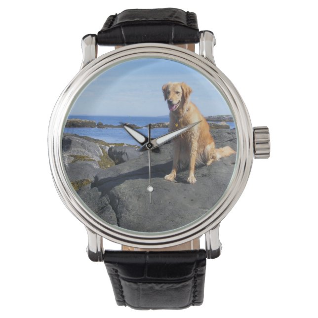 Montre Golden Retriever (devant)