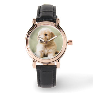 Montre Golden Retriever Puppy