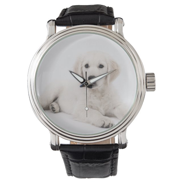 Montre Golden Retriever Puppy Photo (devant)