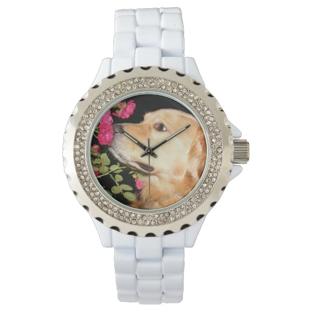 Montre Golden Retriever Sniffer Roses (devant)