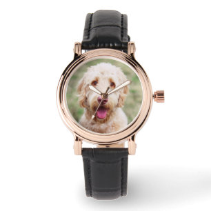 Montre Goldendoodle souriant
