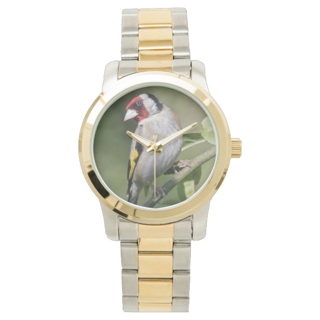 Montre Goldie (devant)