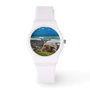 Montre Grande tortue au bord de mer