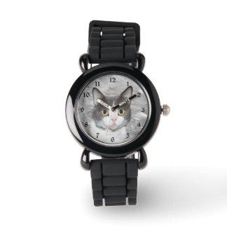 Montre Gray and white tuxedo kitty