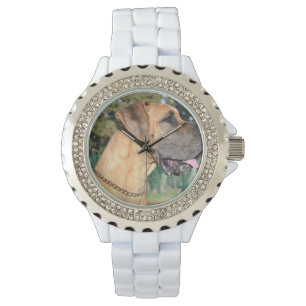 Montre Great dane