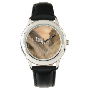Montre Grooming baboons