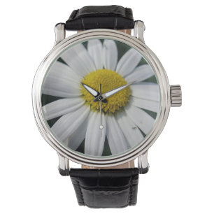 Montre Gros Blancs