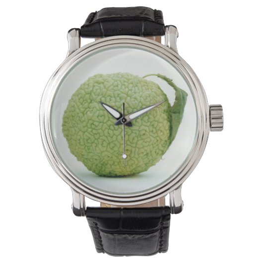 Montre Gros héraut vert (devant)