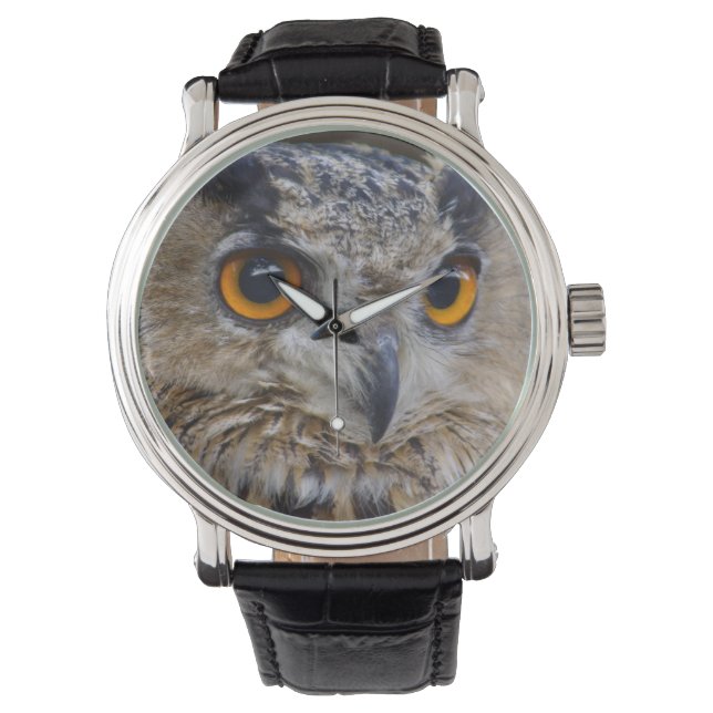 Montre Gros plan sur Eagle Owl (devant)