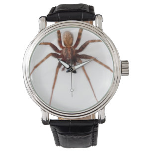Montre Grosse araignée