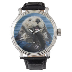 Montre Grosses de loutres de mer de Californie Enhydra lu
