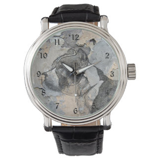Montre Grunge Pitbull terrier