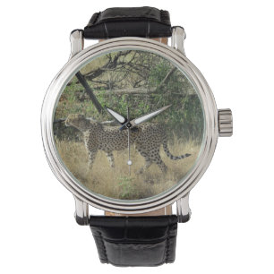 Montre Guépard dans Samburu