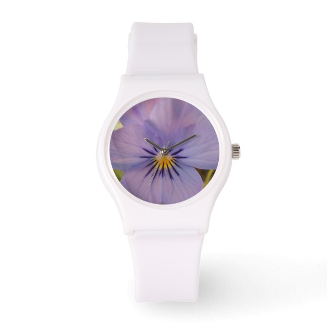 Montre Haetzlern (Recto)