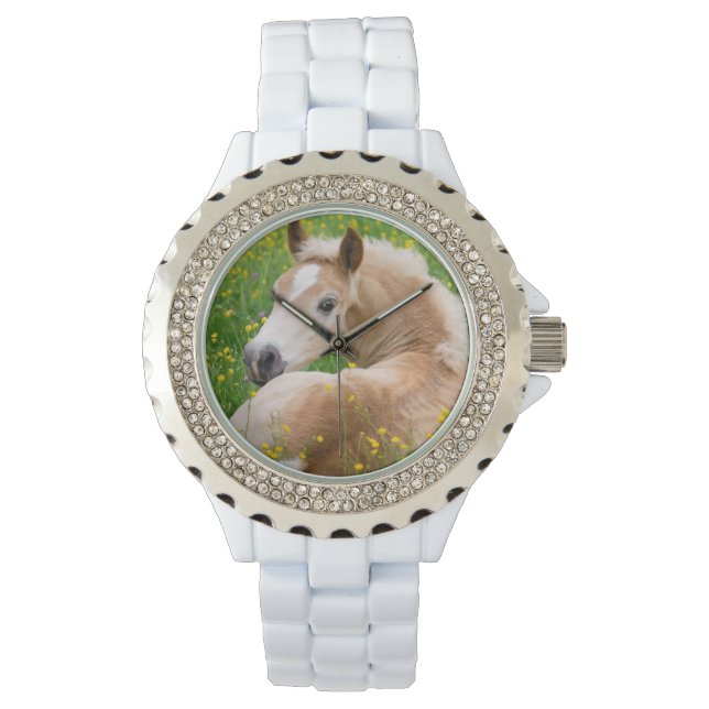 Montre Haflinger Horse Cute Fote dans un lit à fleurs pou (devant)