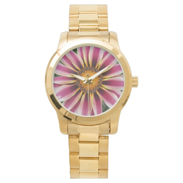 Montre Hereford (devant)