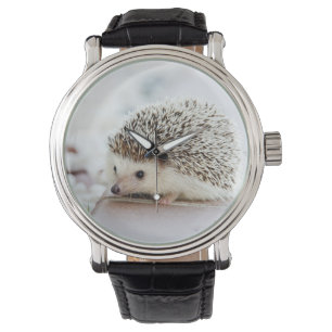 Montre Hérisson bébé mignon