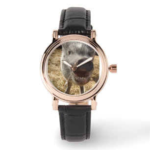 Montre Heureux, souriant, mini porc