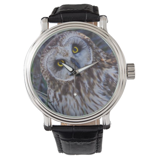 Montre Hibou des marais (devant)