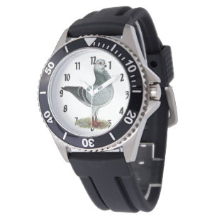 Montre Hibou italien Grizzle Pigeon