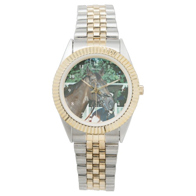 Montre Hippocampe Forego 1977 (devant)