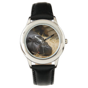 Montre Hippopotame pygméen
