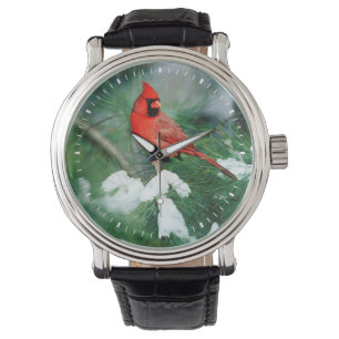 Montre Homme du Cardinal du Nord sur l'arbre, IL