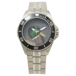 Montre Homme Mallard Duck Drake en acier inoxydabl