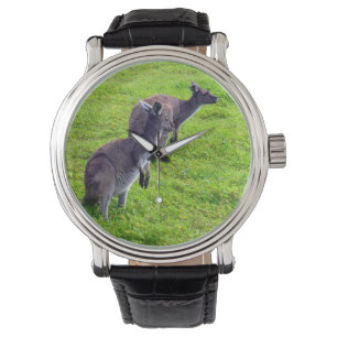 Montre Horizons sans limites : Kangaroos gris sur la plai