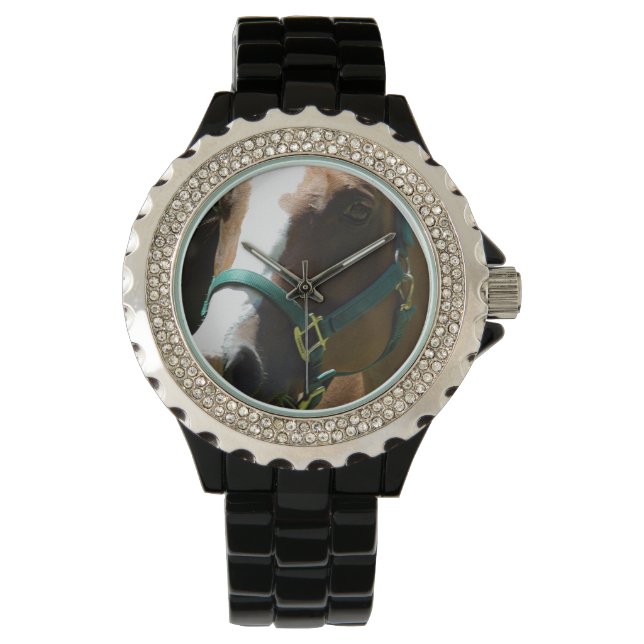 Montre Horse Photo Sur Womens Watch (devant)