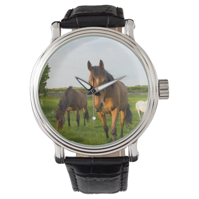 Montre Horse Wrist (devant)