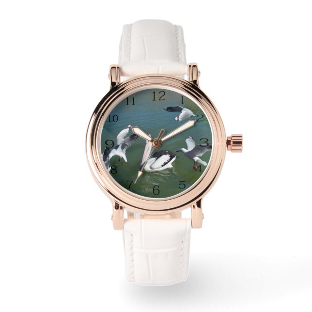 Montre Il Y A Le Quartier : Gatecrashers Pélicans (Recto)