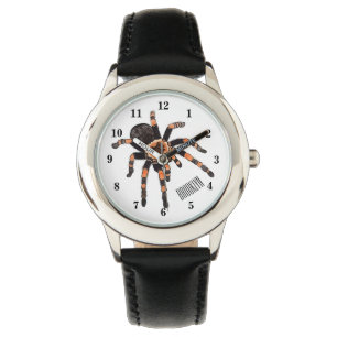 Montre Illustration de Tarantula
