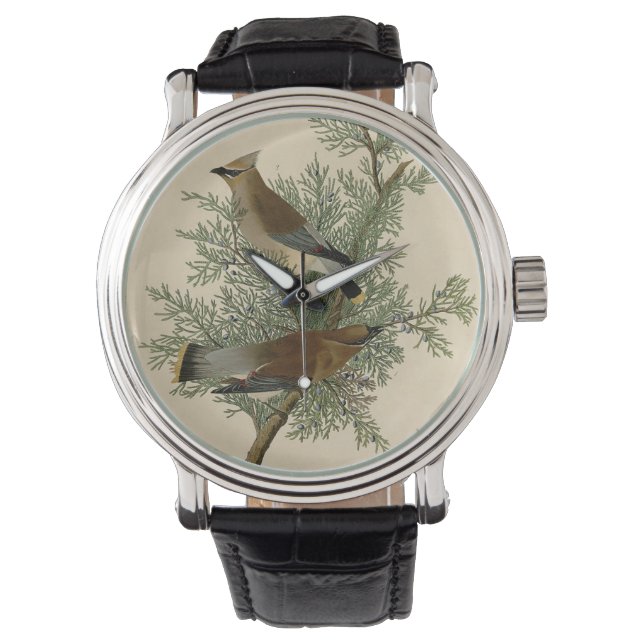 Montre Impression d'oiseau de John James Audubon Jaseur b (devant)