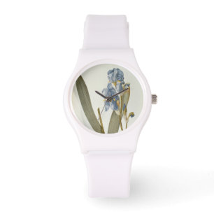 Montre Iris Pallida, de "Les Liliacees", 1812