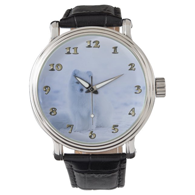 Montre Islande Renard arctique (devant)