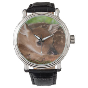 Montre Jeune cerf à queue blanche âgé de deux jours, Kent