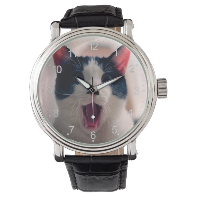 Montre Jeune chat surpris fou faire de grands yeux (devant)
