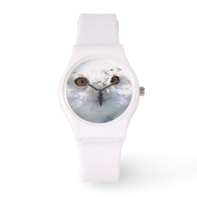 Montre Jote Chouette Neige Yeux Faune Photo (Recto)