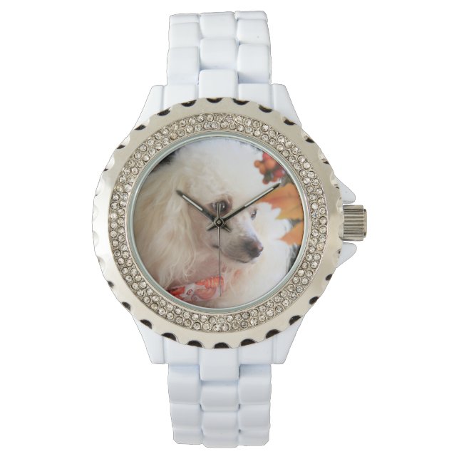 Montre Jouet chien de caniche blanc Rhinestone Watch (devant)