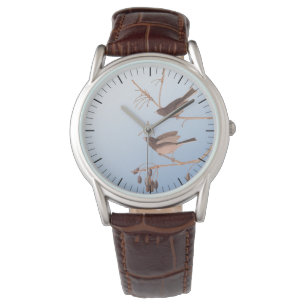 Montre Junco Audubon, à l'oeil foncé, Oiseaux de neige su