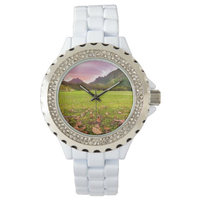 Montre Jurassic Sunset (devant)
