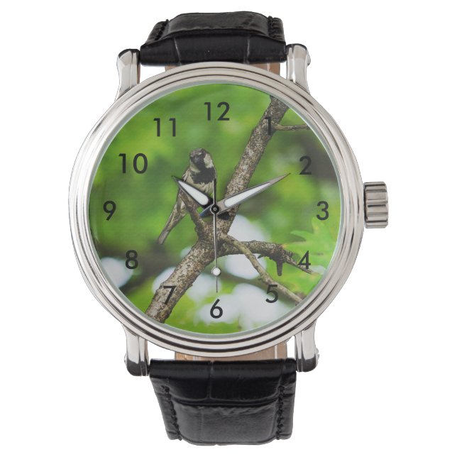 Montre Juste Assis Autour (devant)